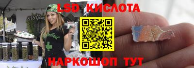 шишки Гай