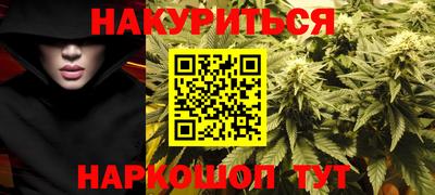 шишки Гай