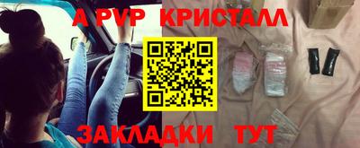 шишки Гай