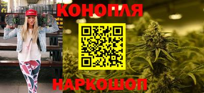 шишки Гай