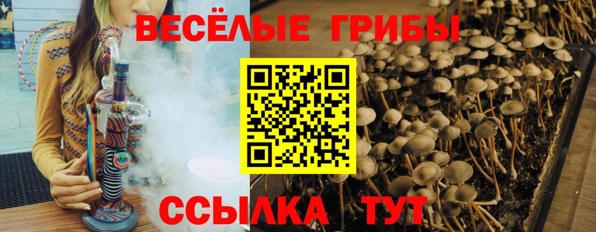 даркнет сайт  Псилоцибиновые грибы Psilocybine cubensis  Вход с VPN  Псилоцибиновые грибы мицелий  Самара 